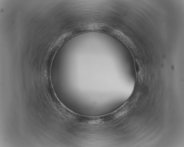 X0000078830306200611271303