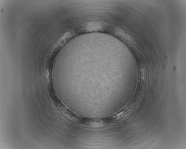 X0000078830308200611271303