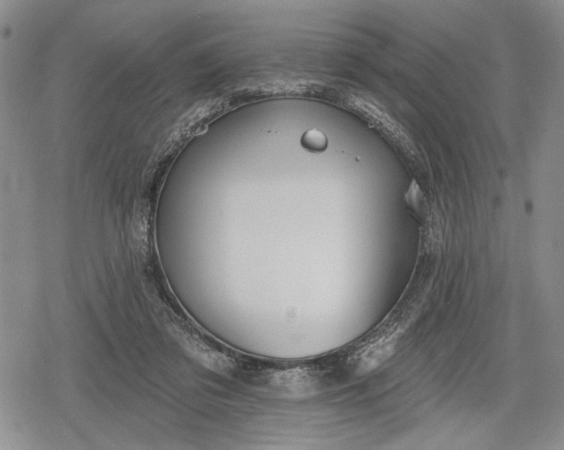 X0000078830309200611271303