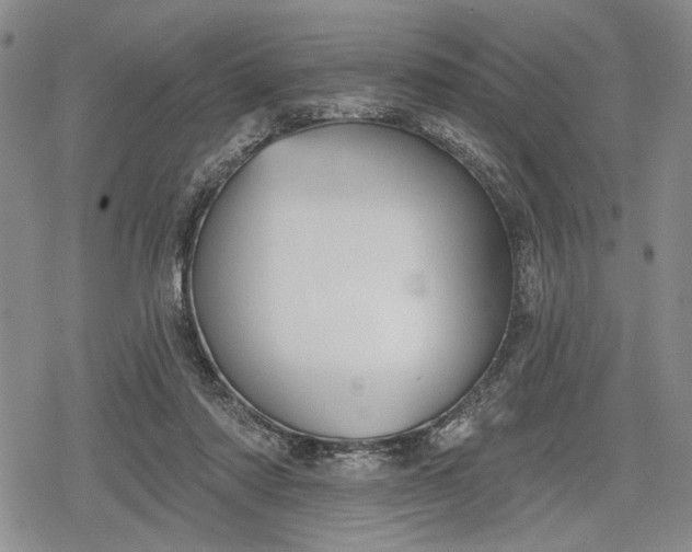 X0000078830310200611271303