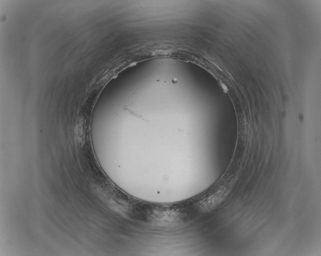 X0000078830311200611271303