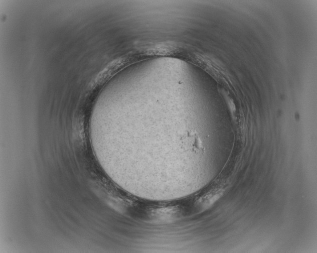 X0000078830312200611271303