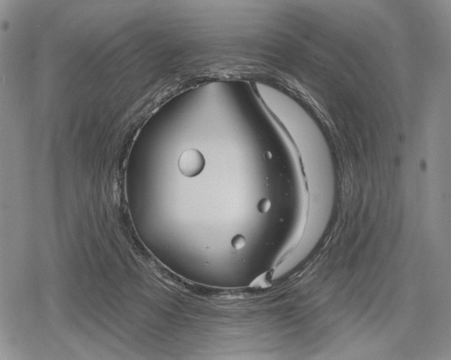 X0000078830313200611271303