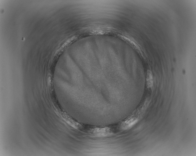 X0000078830314200611271303