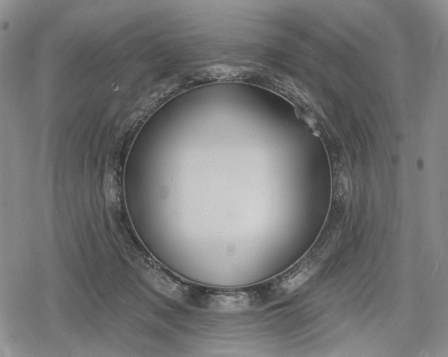 X0000078830317200611271303