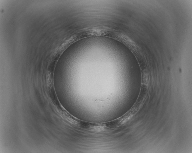 X0000078830318200611271303