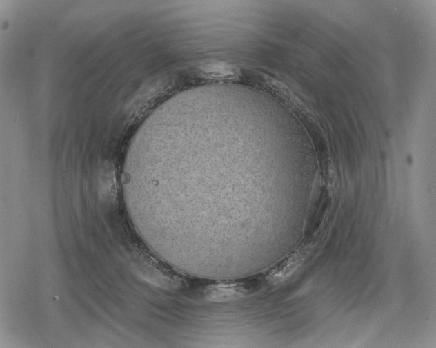 X0000078830320200611271303