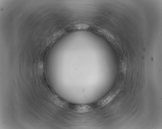 X0000078830321200611271303