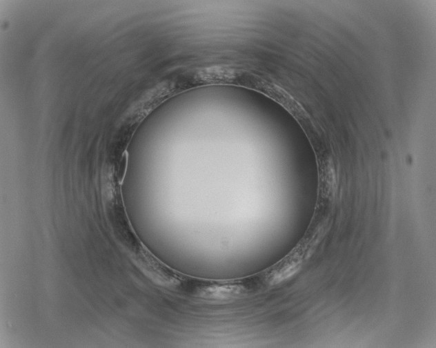 X0000078830323200611271303