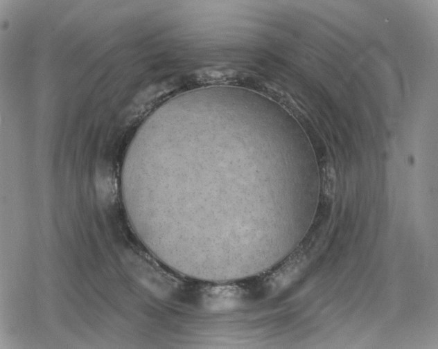 X0000078830324200611271303