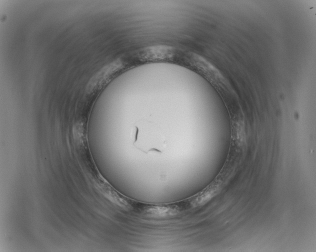 X0000078830326200611271303