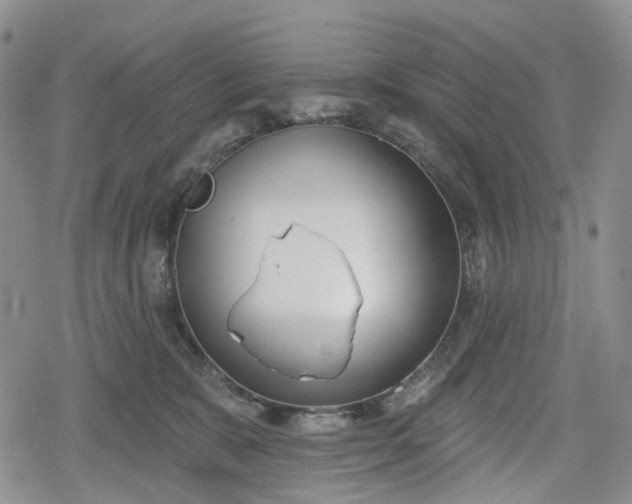 X0000078830327200611271303