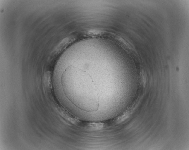 X0000078830328200611271303