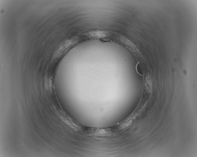 X0000078830330200611271303