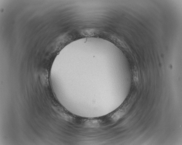 X0000078830332200611271303