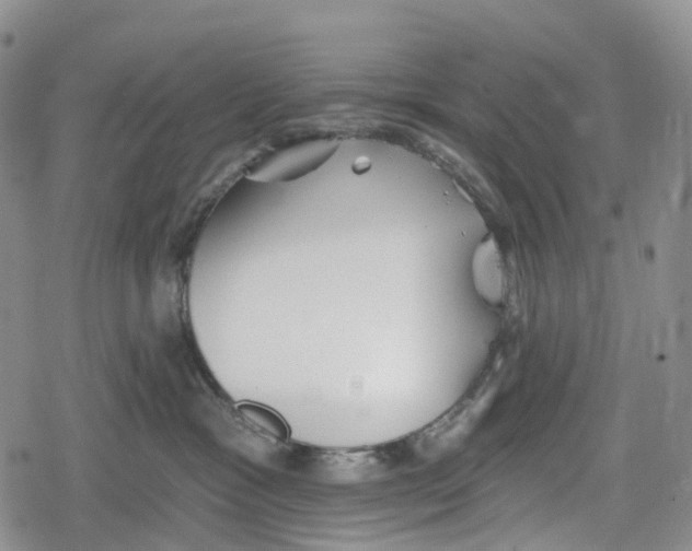 X0000078830333200611271303