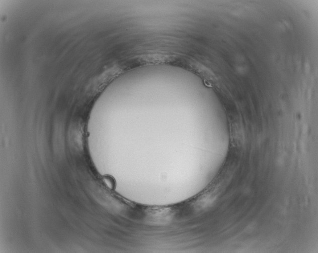 X0000078830334200611271303