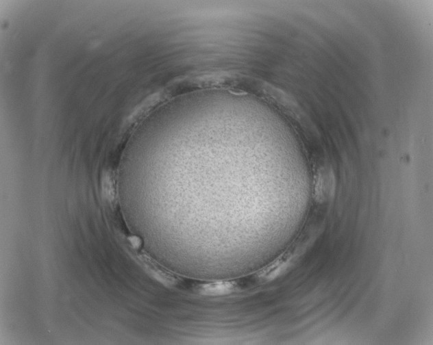 X0000078830335200611271303