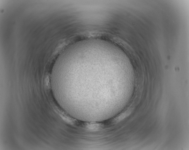 X0000078830336200611271303