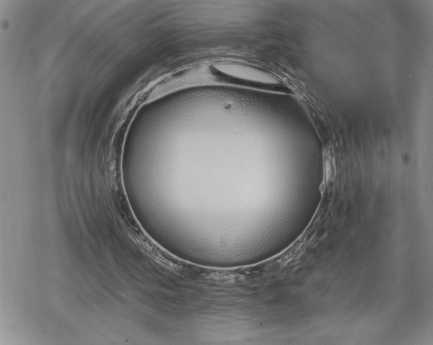 X0000078830339200611271302