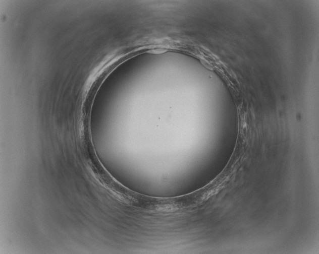 X0000078830344200611271302