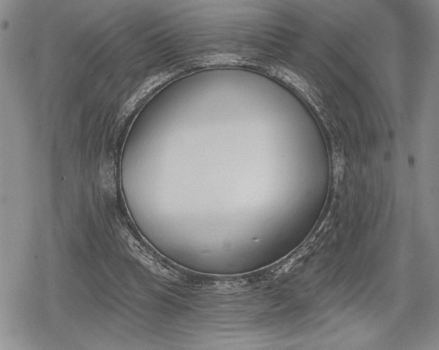 X0000078830345200611271302