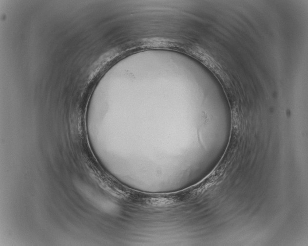 X0000078830347200611271302