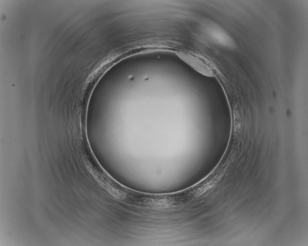 X0000078830349200611271302