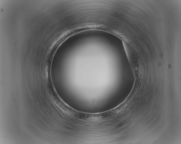 X0000078830350200611271302