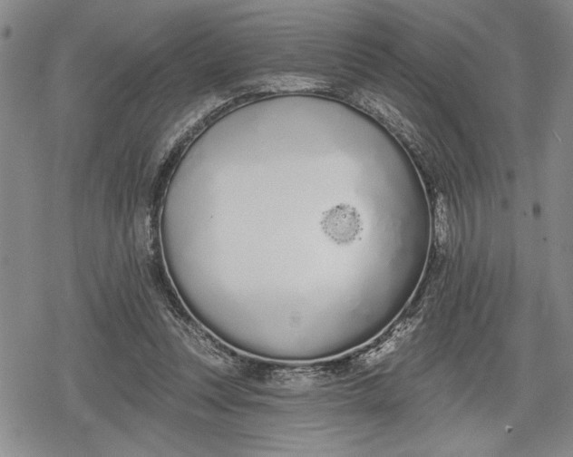 X0000078830351200611271302