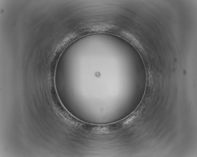 X0000078830354200611271303