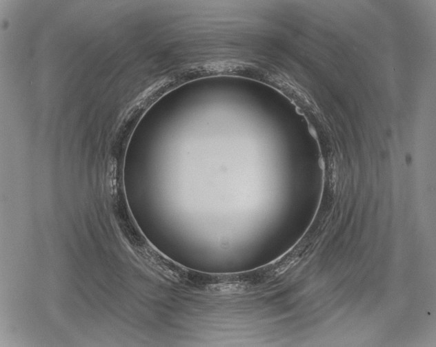 X0000078830356200611271303