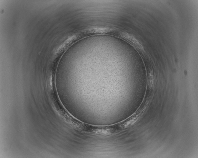 X0000078830358200611271303