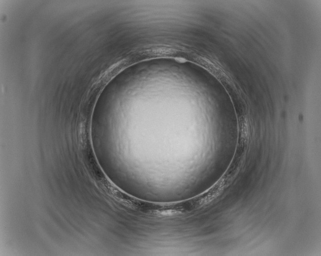 X0000078830360200611271303