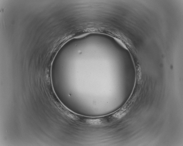 X0000078830361200611271303