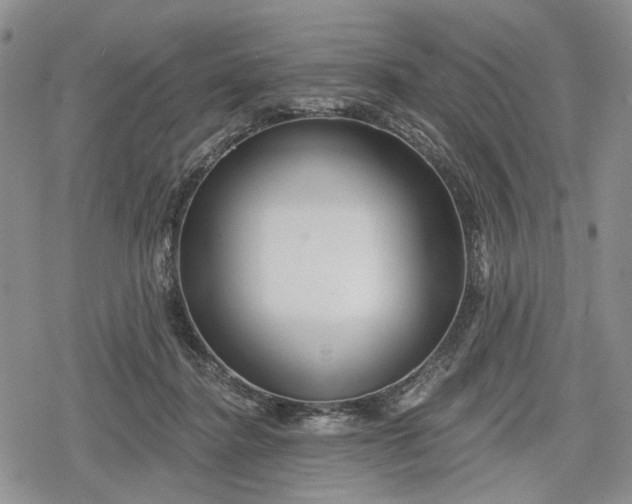 X0000078830364200611271303