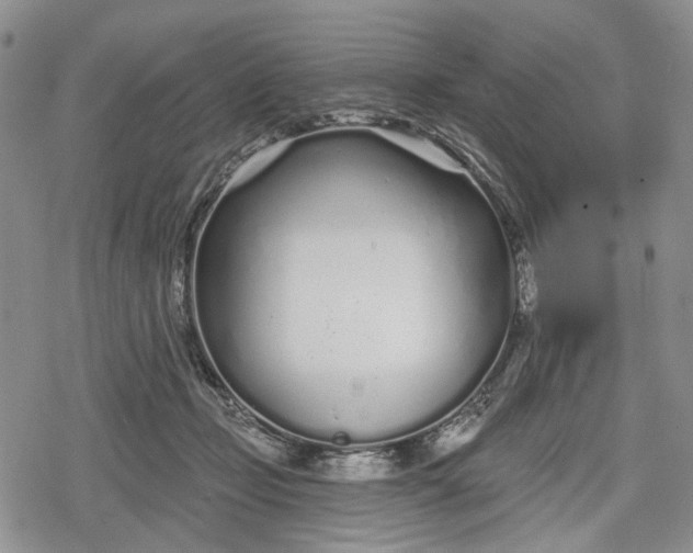 X0000078830365200611271303