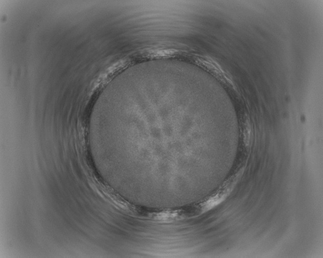 X0000078830366200611271303