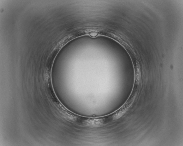 X0000078830367200611271303