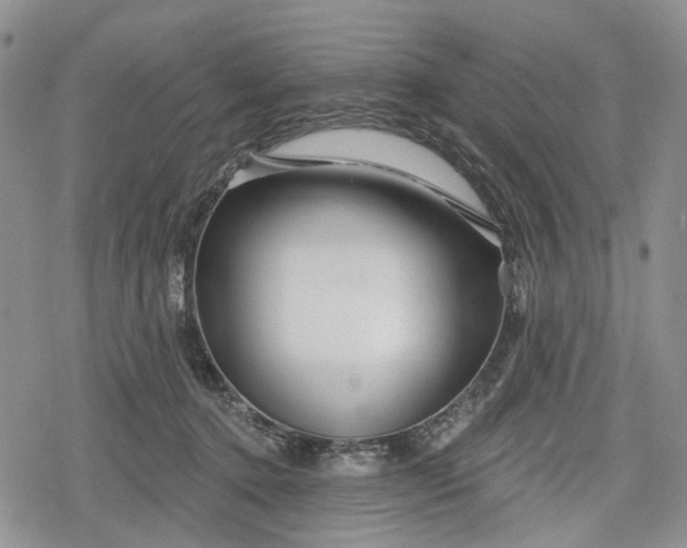 X0000078830368200611271303