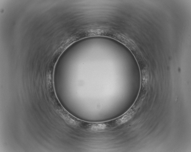 X0000078830369200611271303