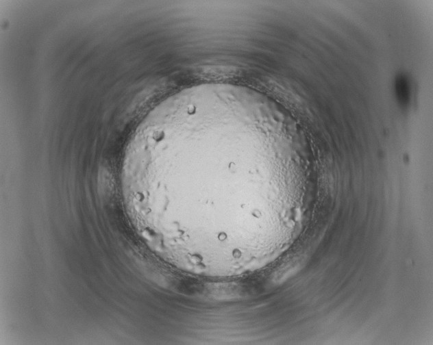 X0000078830371200611271303