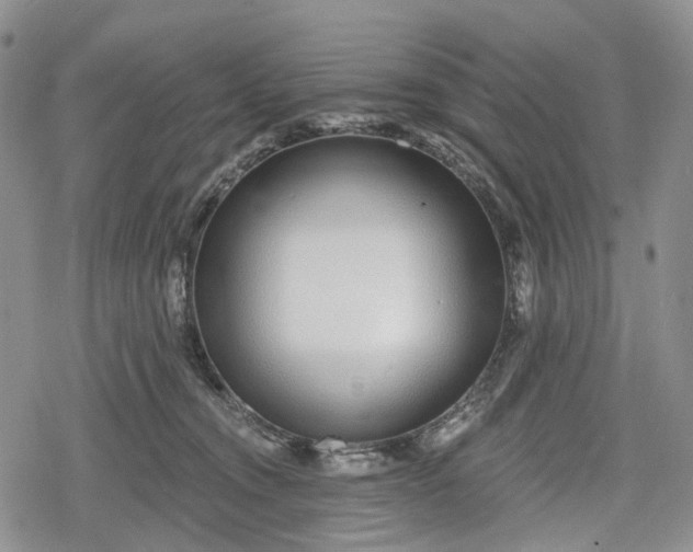 X0000078830372200611271303