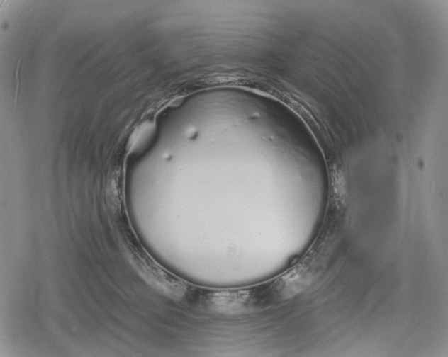 X0000078830373200611271303