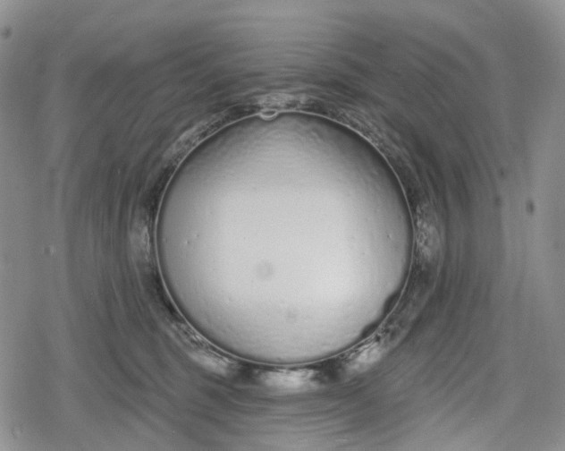 X0000078830375200611271303