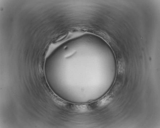 X0000078830377200611271303