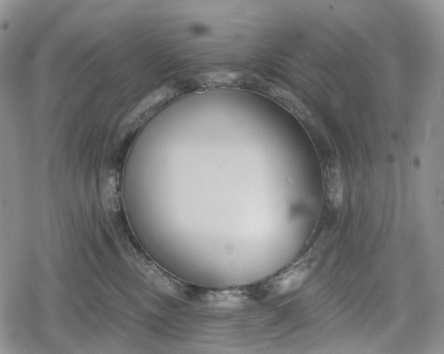 X0000078830378200611271303