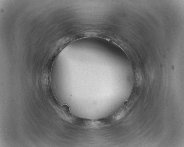 X0000078830379200611271303