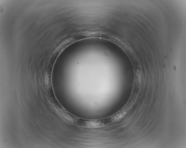 X0000078830380200611271303