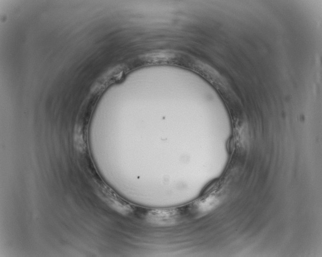 X0000078830381200611271303